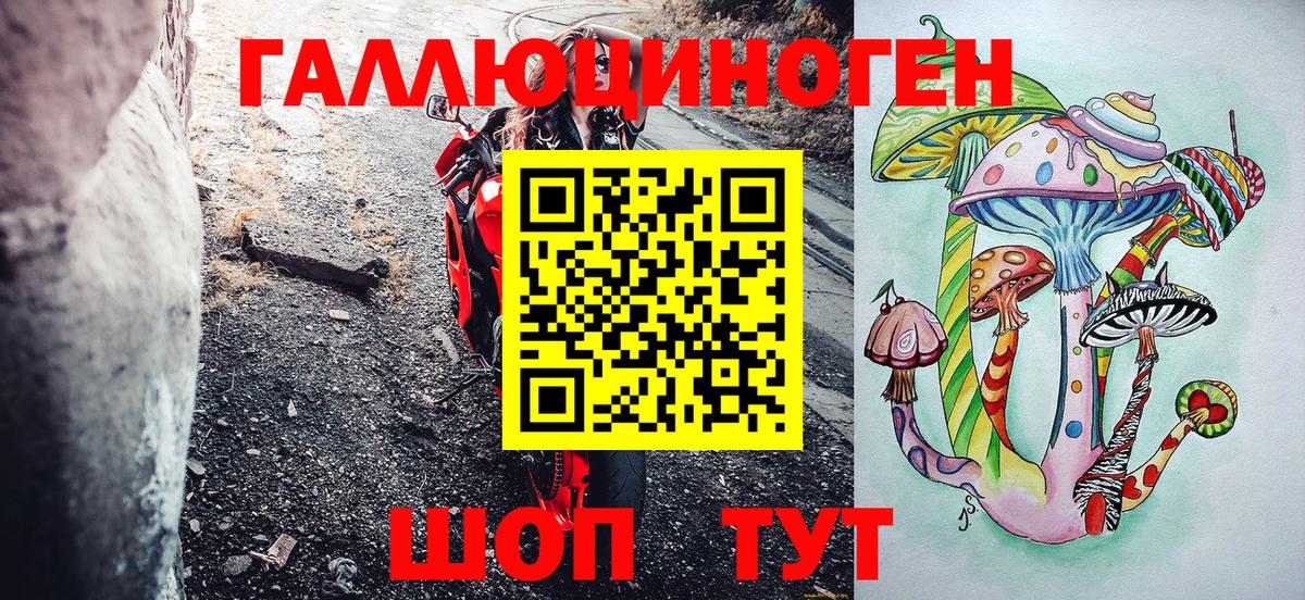 Галлюциногенные грибы Psilocybine cubensis Зеленогорск